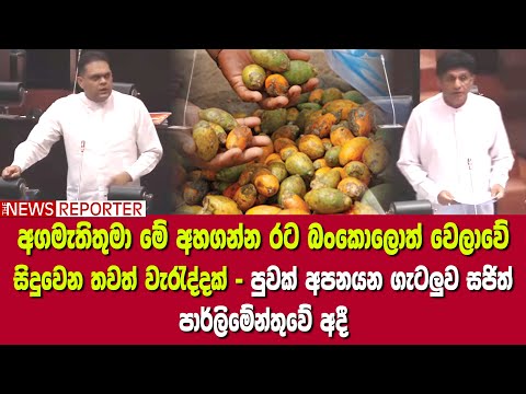 Export Industry Issues